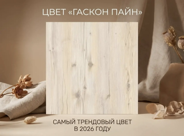 Двухъярусная кровать Юниор-2 (гаскон пайн) 190х80 от Династия Kids